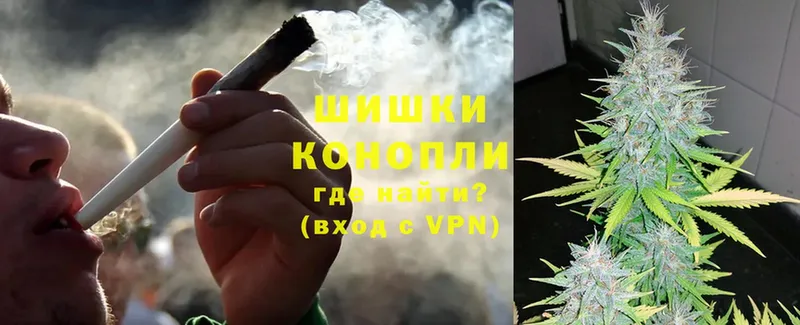 Бошки марихуана Amnesia  цена наркотик  Анива 